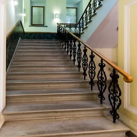 Comfy Palazzo Street