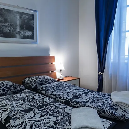 Comfy Palazzo Street
